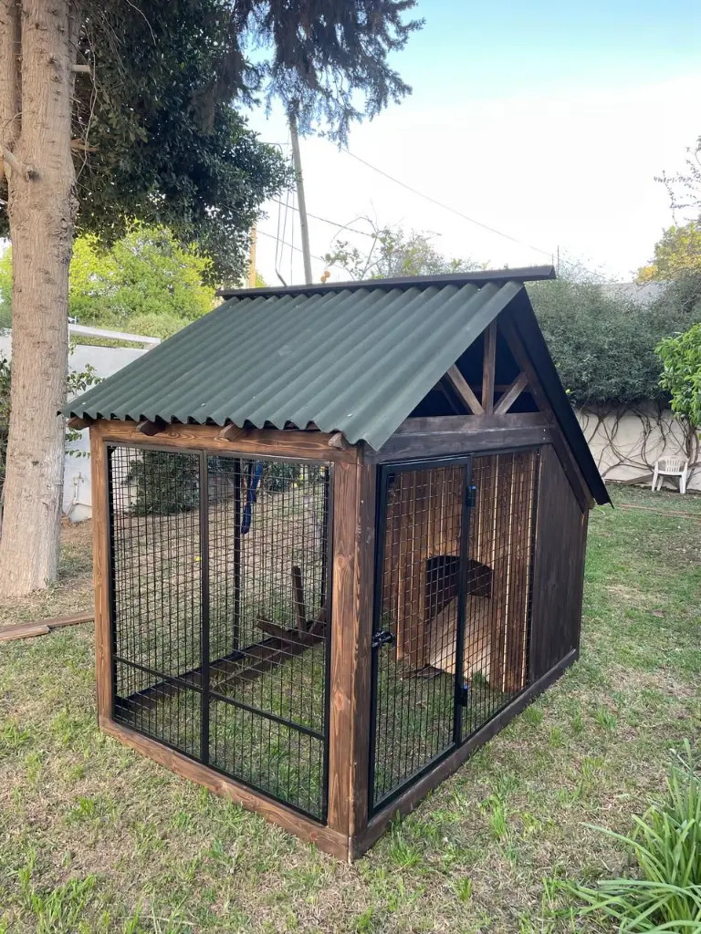 WhatsApp Image 2026-01-20 at 20.11.42.webp